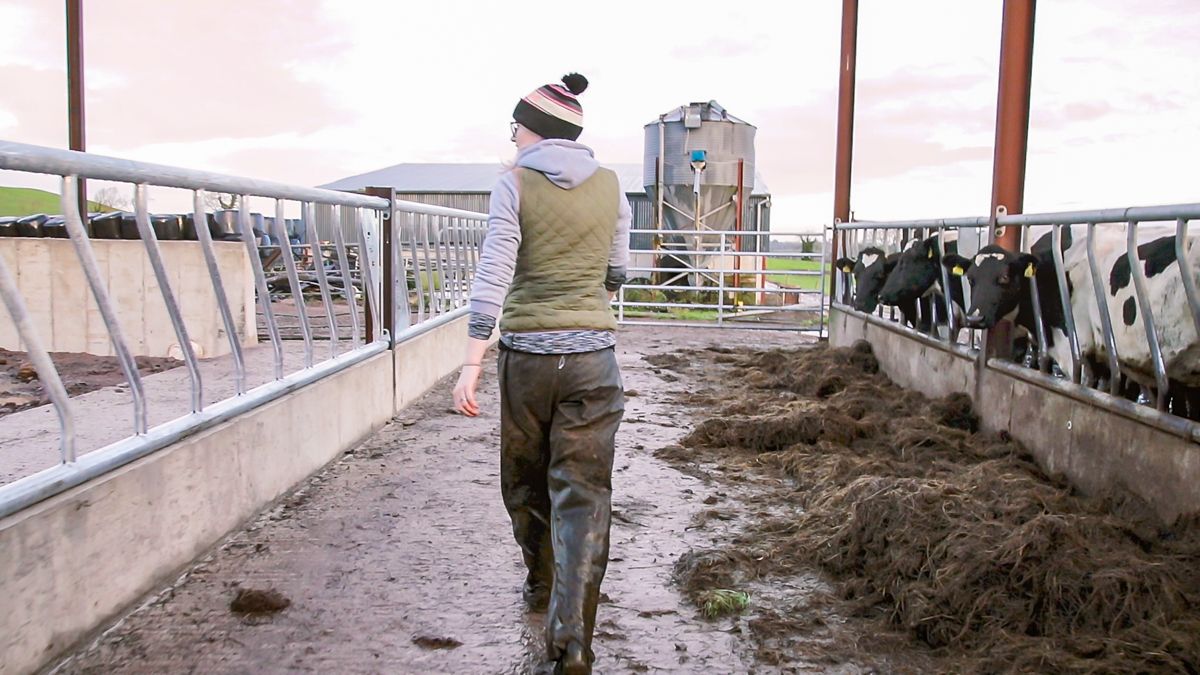 NFU Mutual advises farmers on succession ahead of tax reform