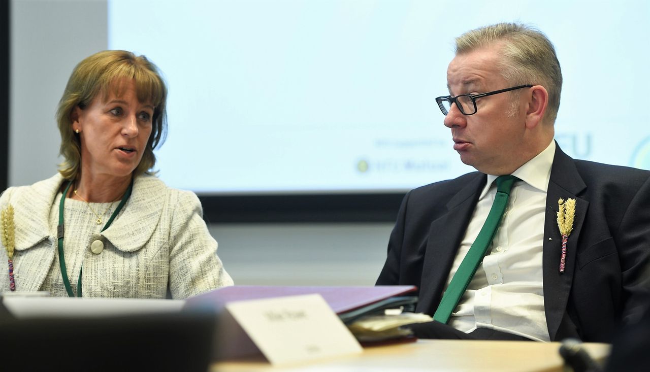 Batters calls for ability to 'pause' transition from direct payments