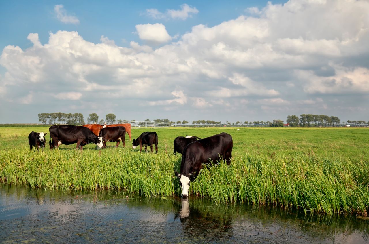 NFU secures 150 water abstraction licences for farmers in England