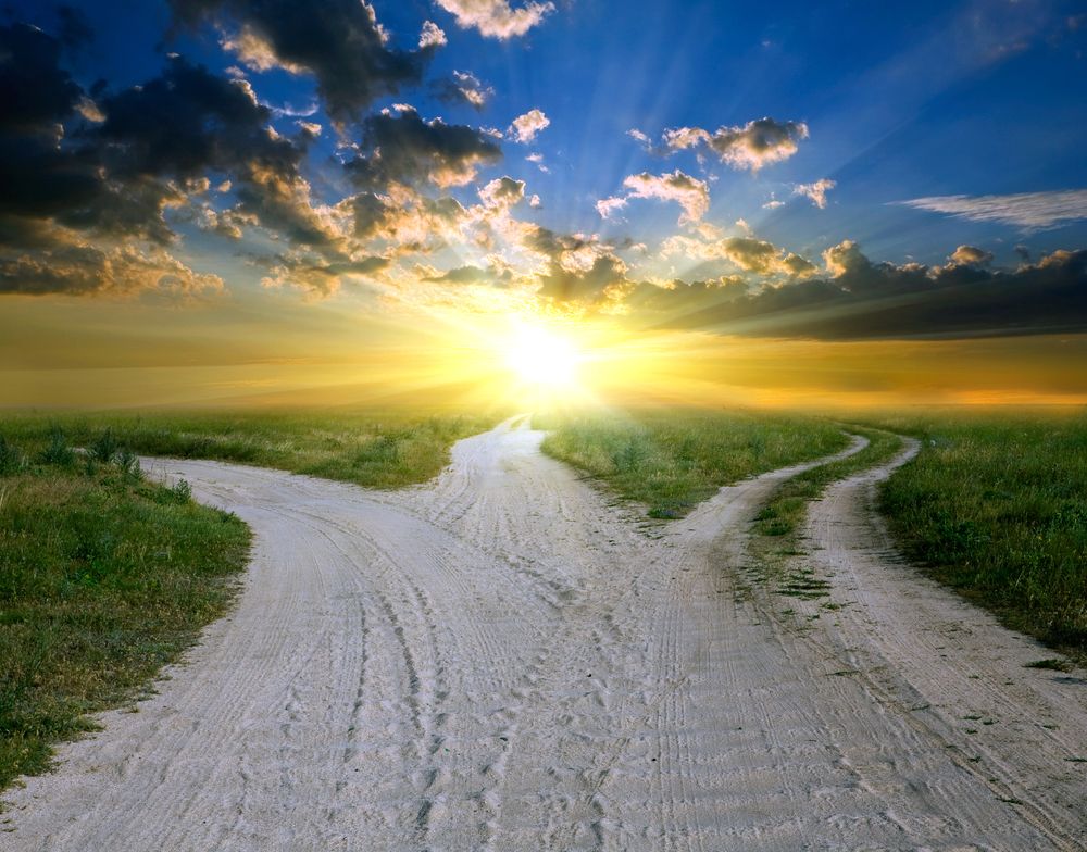 Building a road to better farming