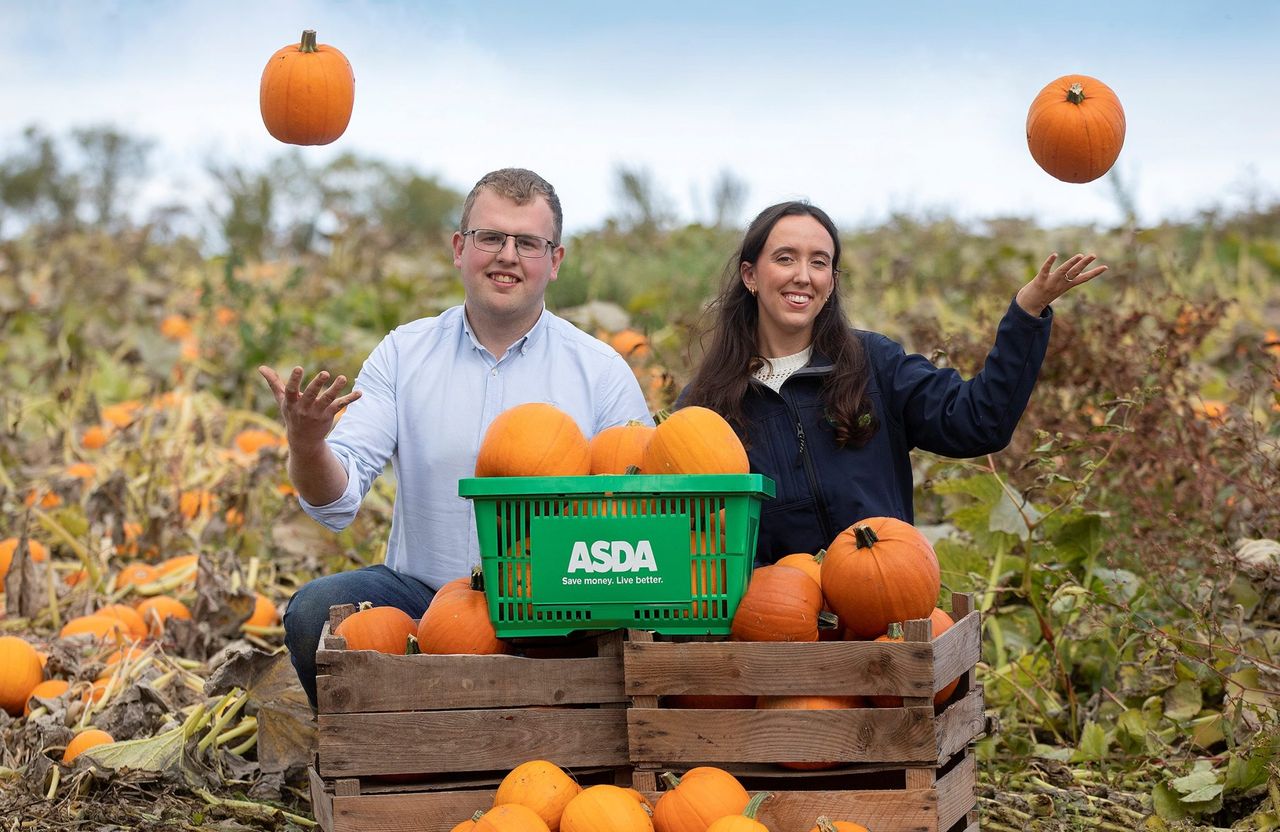 Growing pumpkins for the Halloween market in Armagh