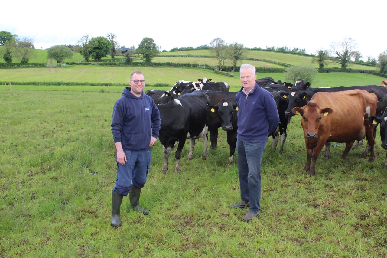 Maximising milk from grass in south Tyrone