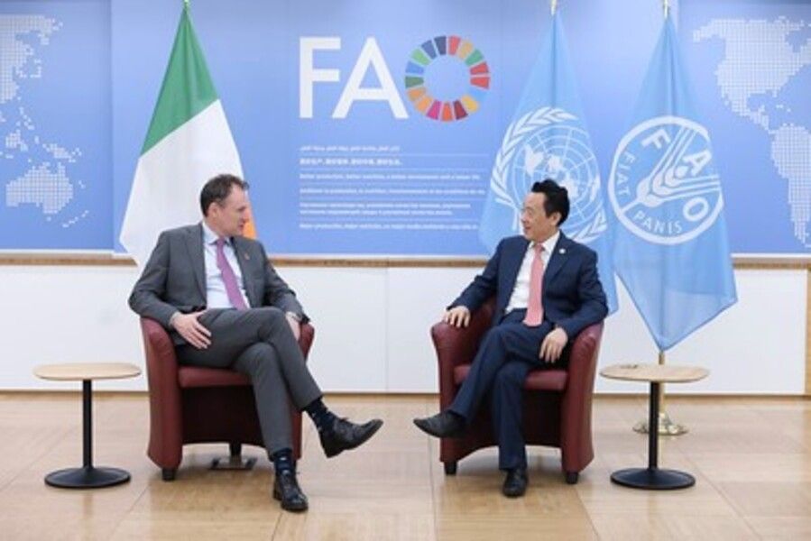 FAO at COP28: ‘We have to produce more with less’