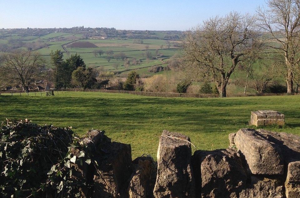 £3.3m project aims to 'eliminate dependence' on nitrogen fertilisers