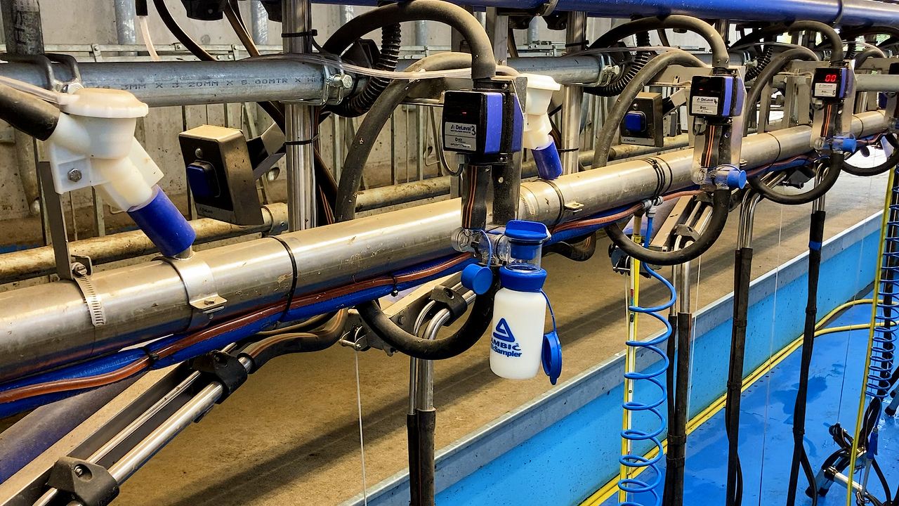75% of UK and Irish dairy farmers now milk recording