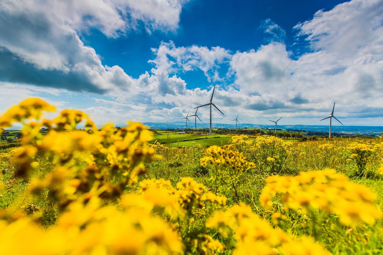 NIRIG rebrands to RenewableNI to ‘reflect group’s growing ambitions’