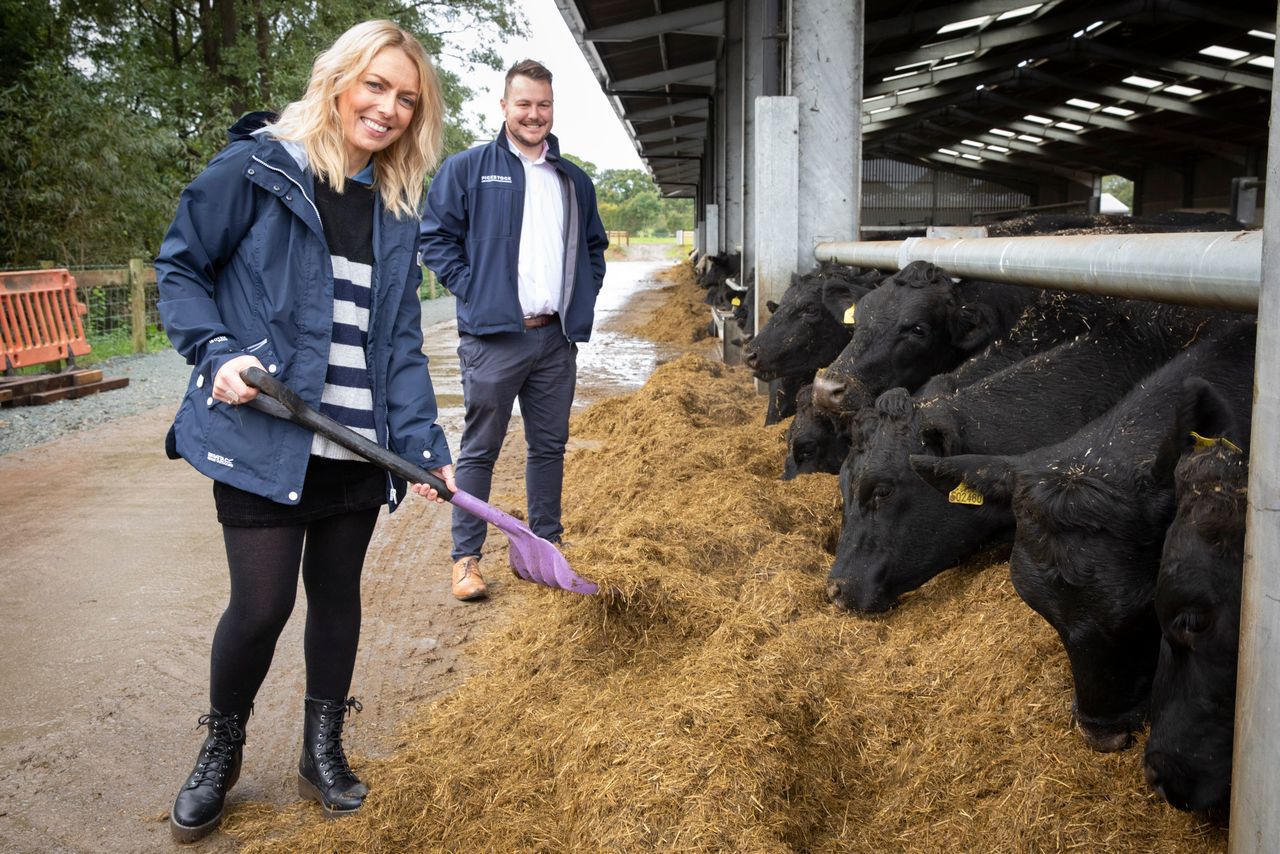 Beef deal paves way for Powys farm expansion