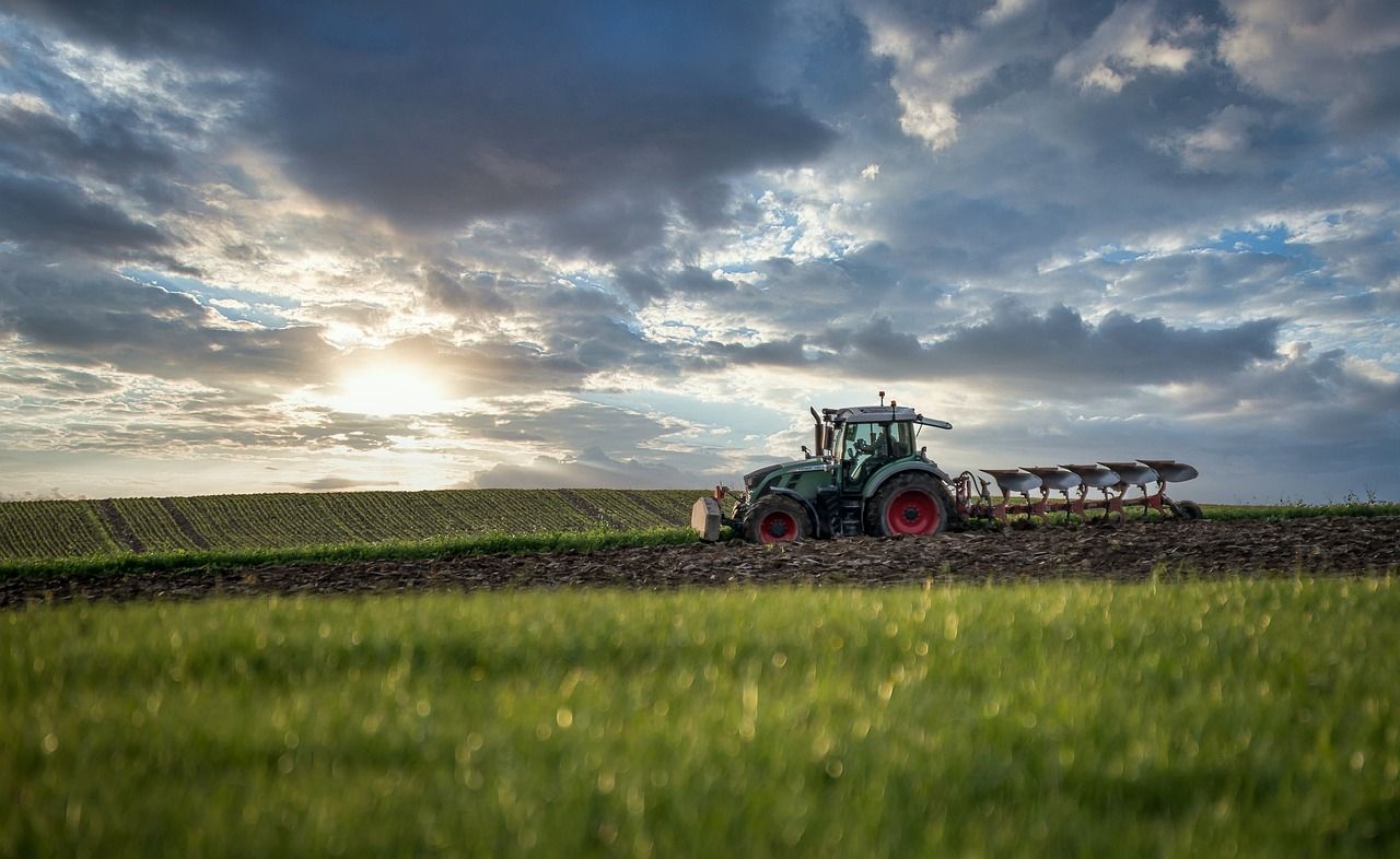 G20 committed to ‘sustainably’ increasing agricultural productivity