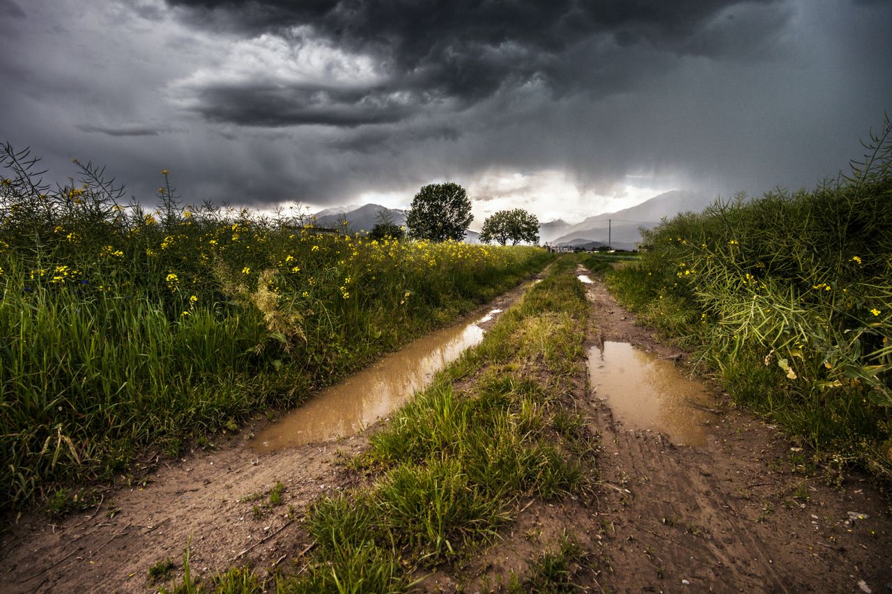 Thunderstorm warnings issued with risk of lightning and hail