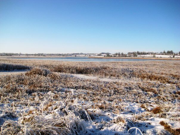 US winter storm Goliath to have 'lingering affect' on milk supply