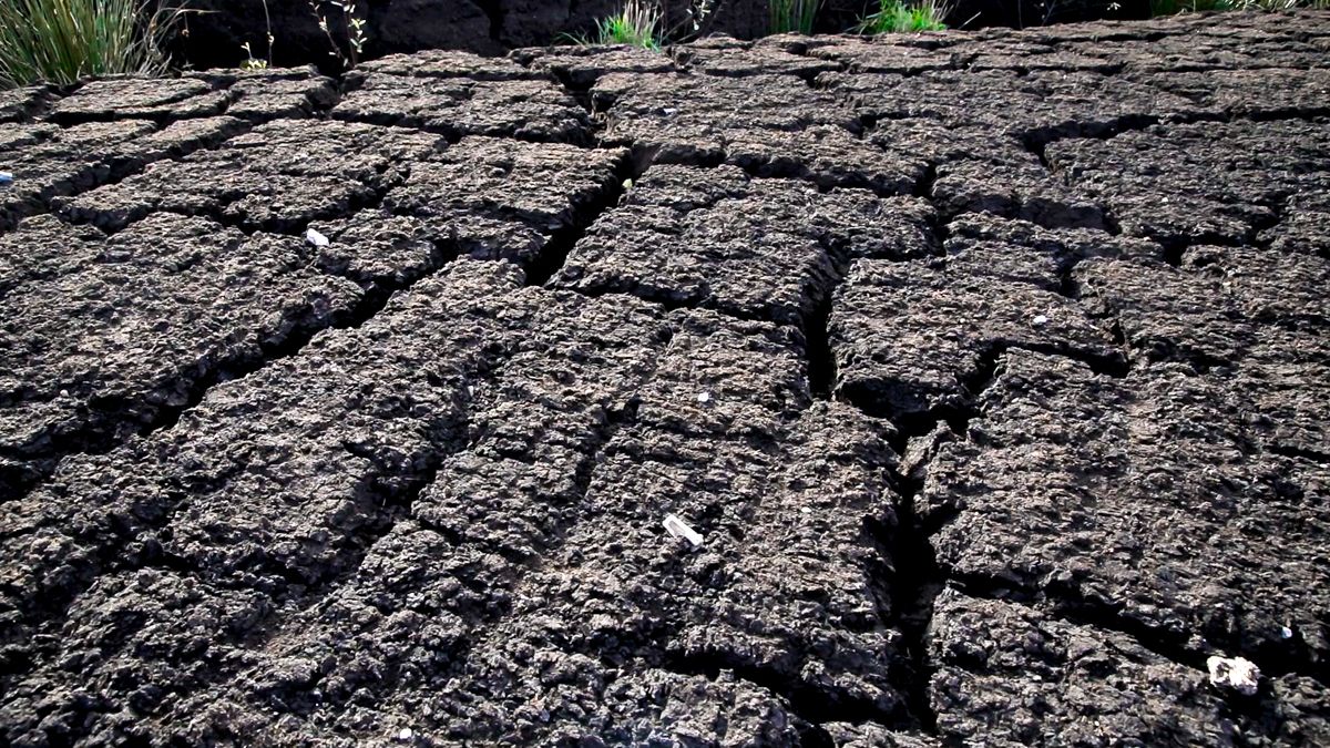 New government investment for lowland peat soils