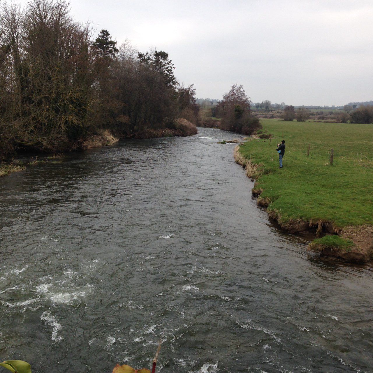 NI river water quality dipped slightly in last 3 years – DAERA
