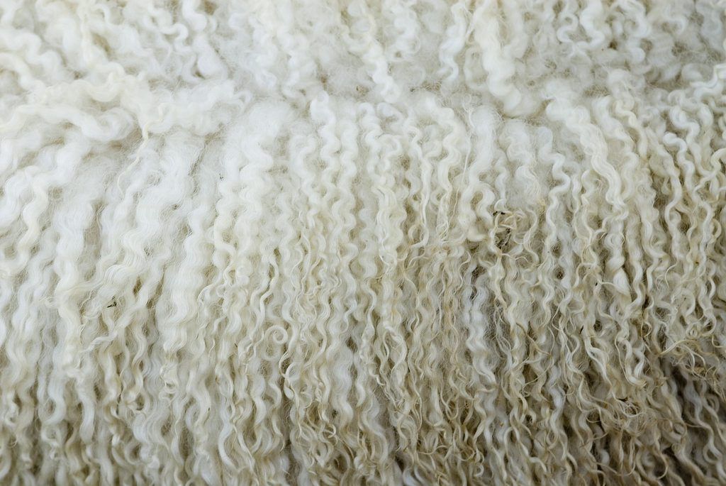 Wool prices expected to remain competitive as demand is ‘set to grow’