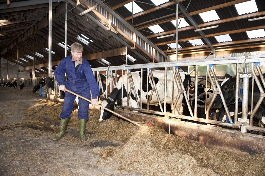 10 things to get your farming 'auld lad' this Father's Day