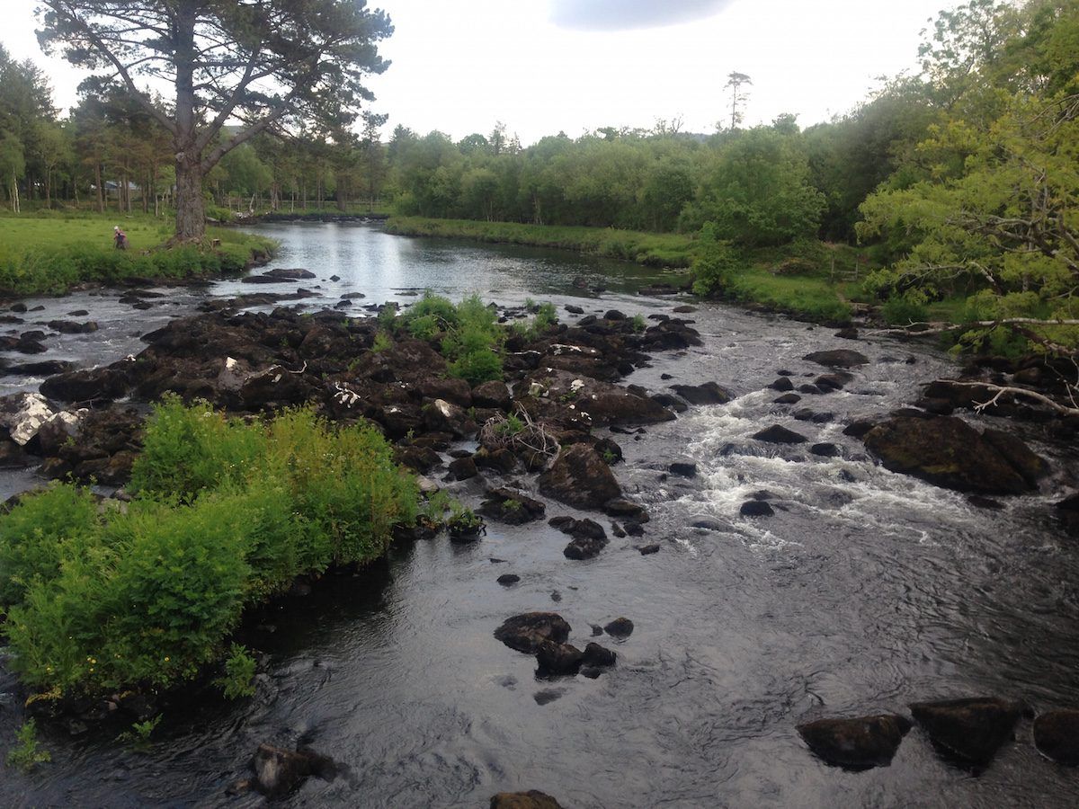 Silage effluent suspected of causing a major fish kill in Northern Ireland