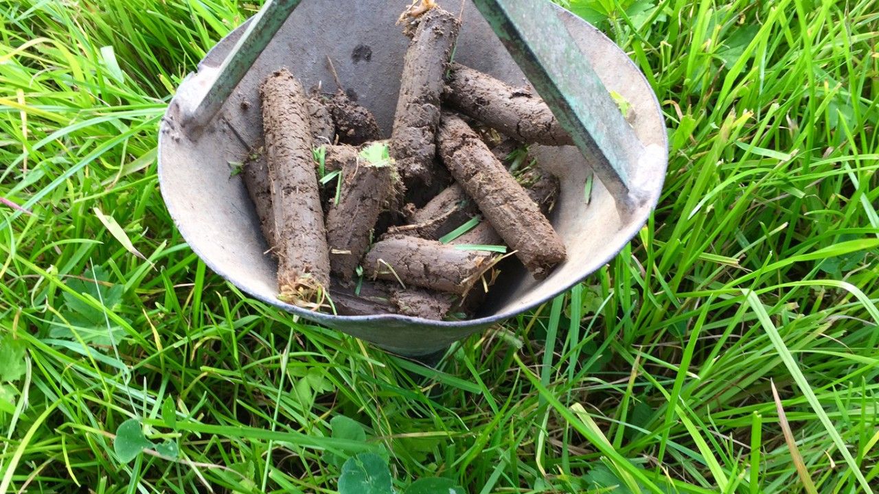 Soil Nutrient Health Scheme: 140,000 samples taken in NI