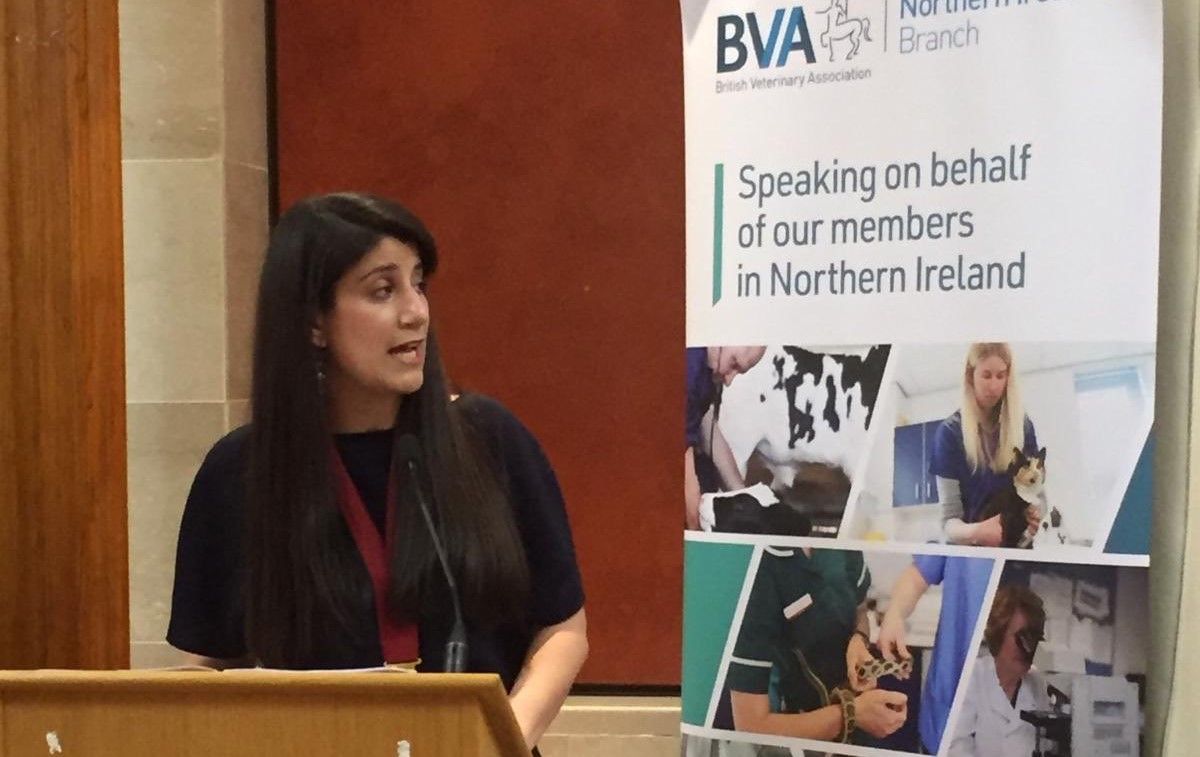 NI vets praised for ‘strong and supportive’ work ahead of Brexit