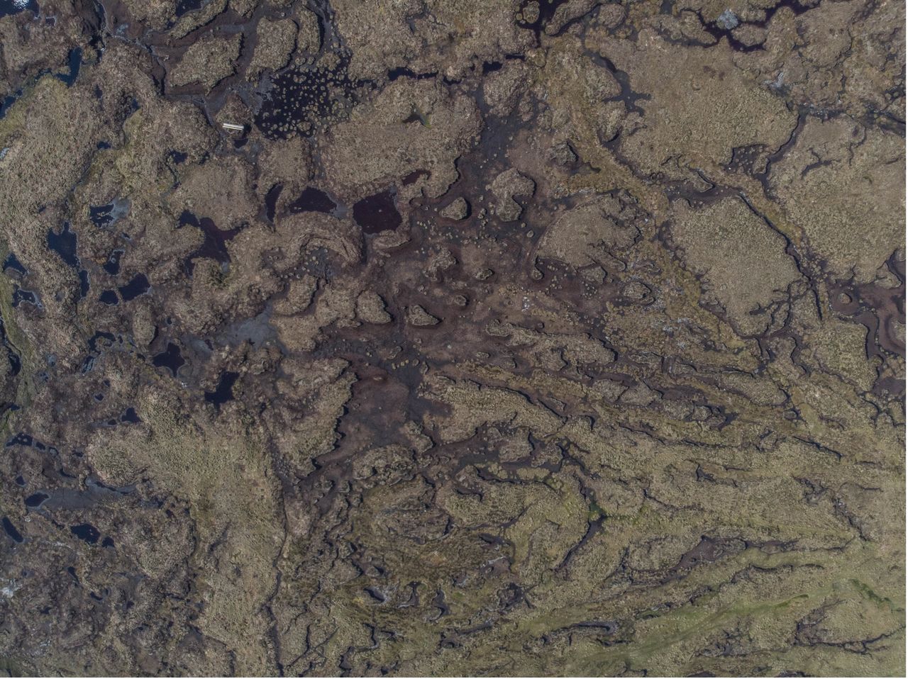 Peatland restoration before