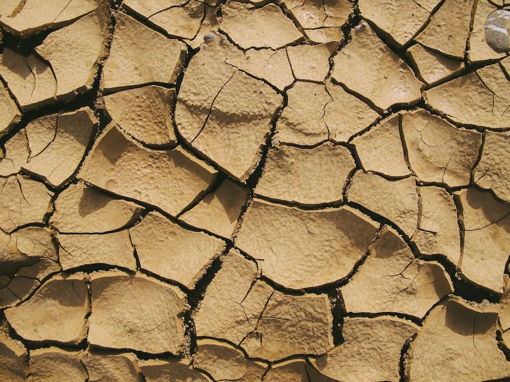 Spain’s ag minister requests EU crisis funds amid severe drought