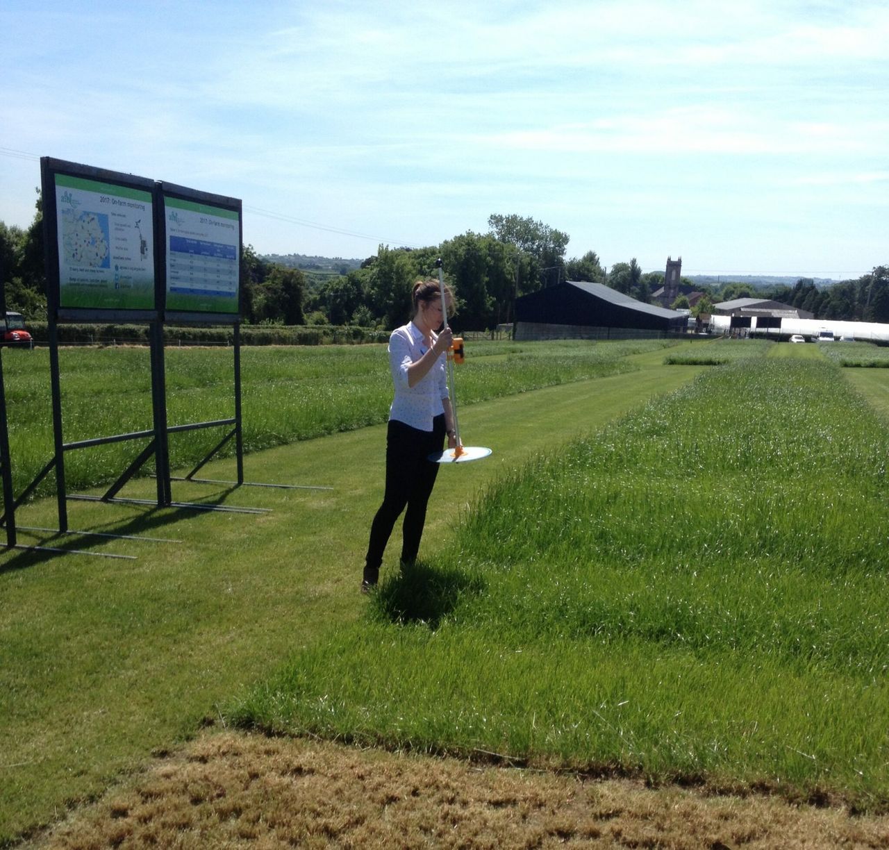 £362,000 boost announced for 2 fish and farming research projects