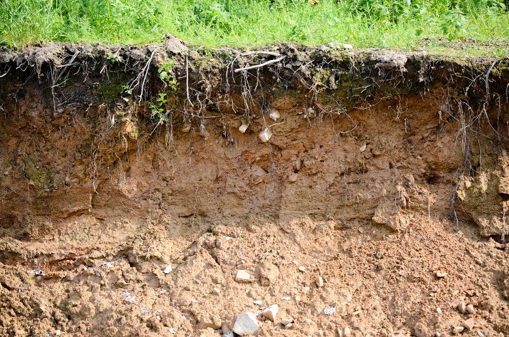 Last chance to attend soil analysis report training