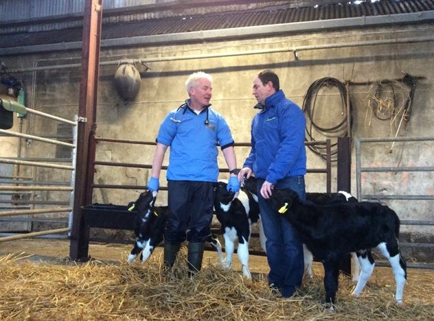 How one farmer went from treating 20% of calves for pneumonia to none