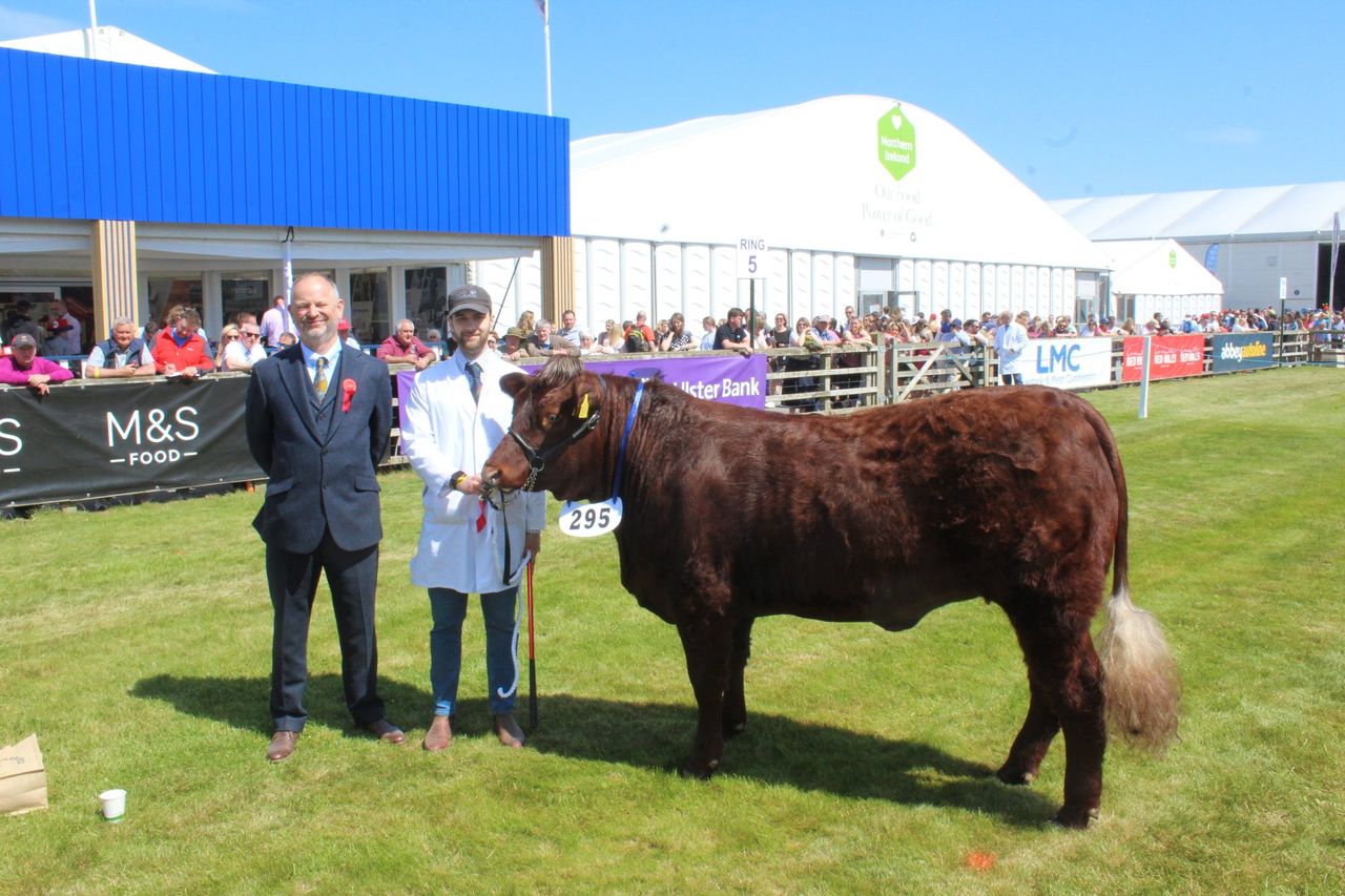 Balmoral Show: ‘High standards’ in stock across cattle classes