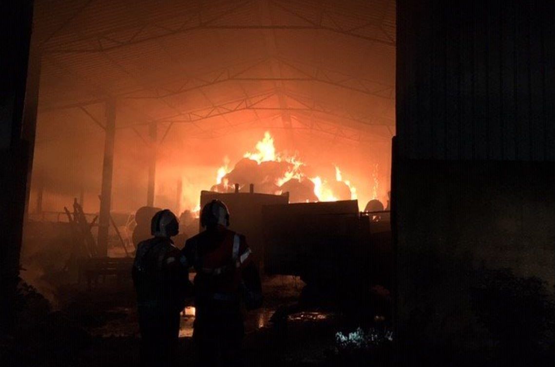 Firefighters say Cambridgeshire shed fire was started deliberately