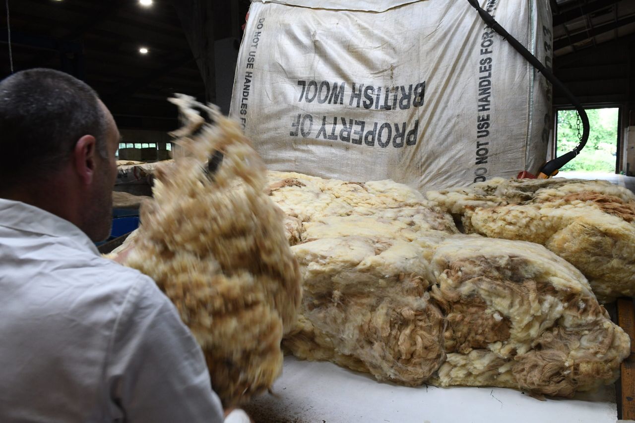 British Wool indicates solid start to sale season