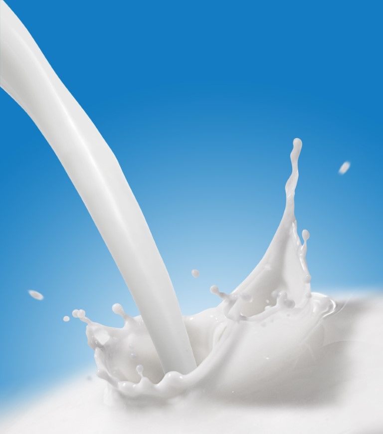 Would you try camel milk? Ray D'Arcy did on live radio
