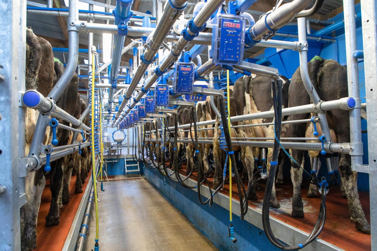 Mitigate infection with a good milking routine this spring