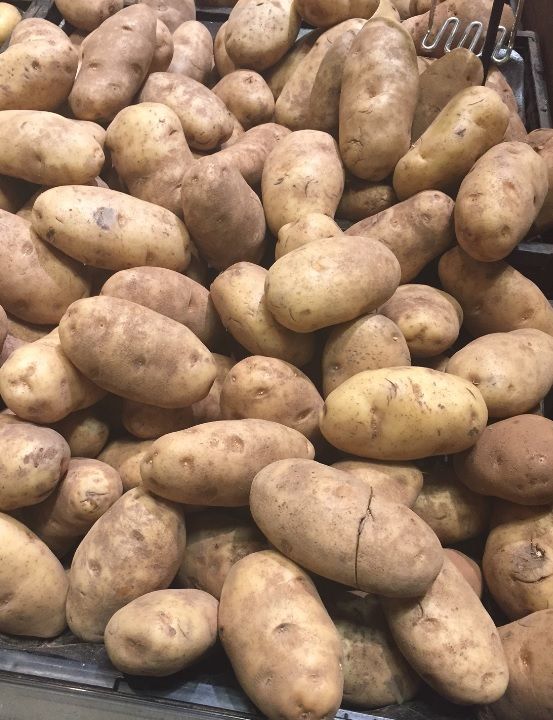 Growers receiving €750/t for new season potatoes