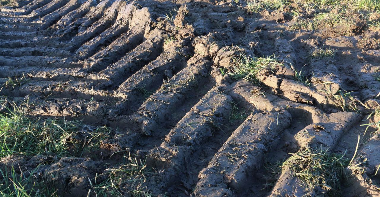Conacre 'not to blame' for all of NI's land fertility issues