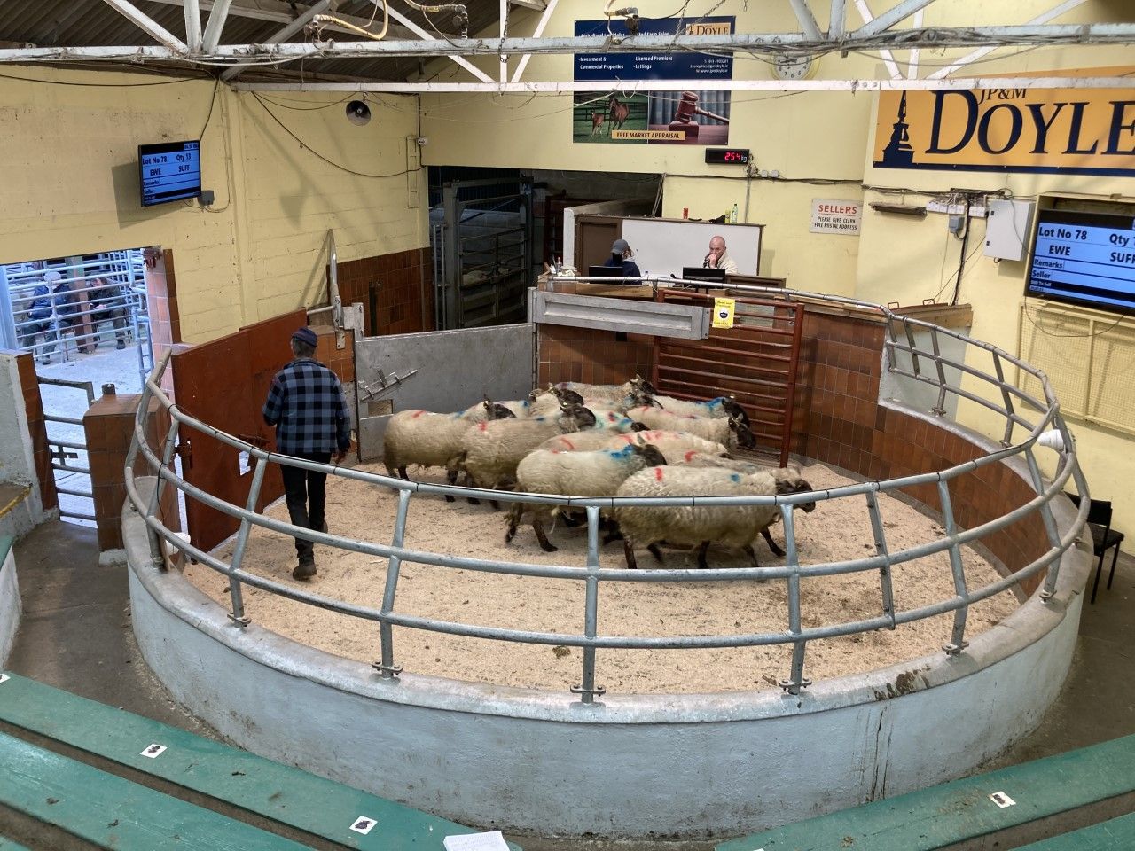 NI marts: Sellers permitted to return ringside on May 3