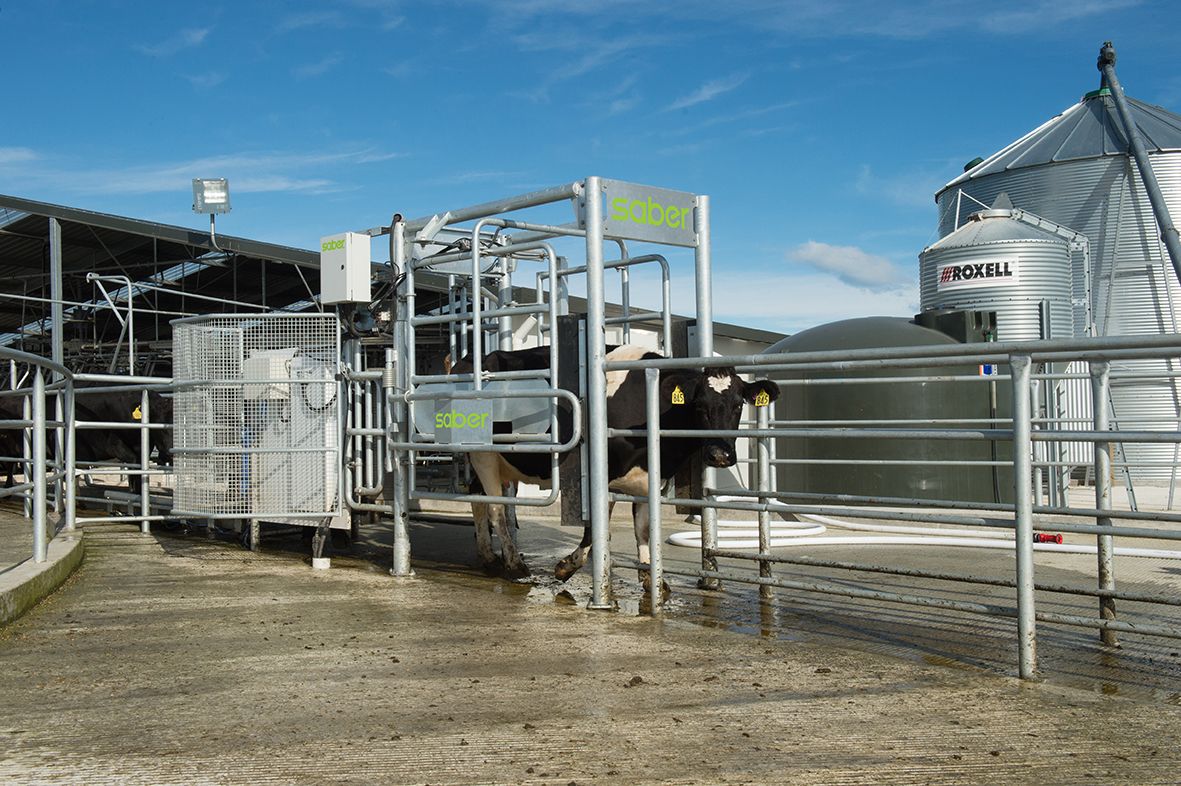 New Zealand’s LIC Automation to launch automated heat detection system