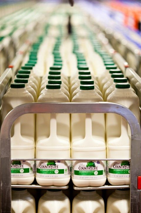 UK milk processor introduces milk 'price floor' at 23p/L