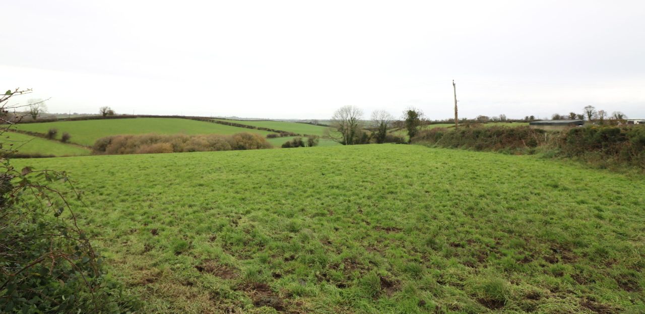 Agricultural land provides 40ac and winter accommodation for livestock