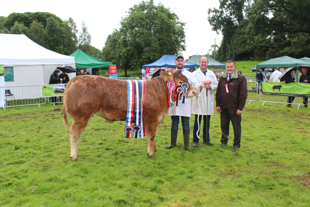 Record livestock entries at Clogher Valley Show