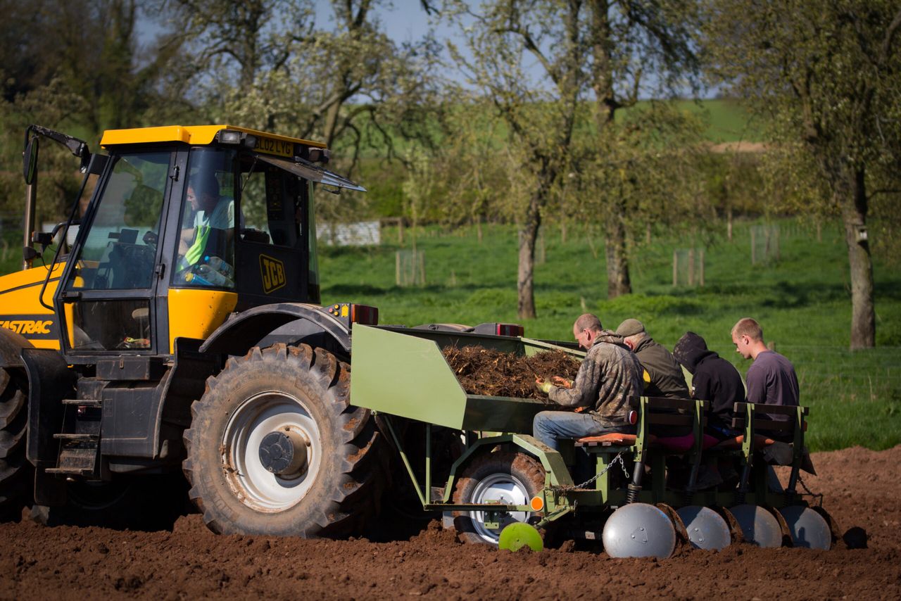 New wonder Miscanthus variety to launch at Cereals 2019