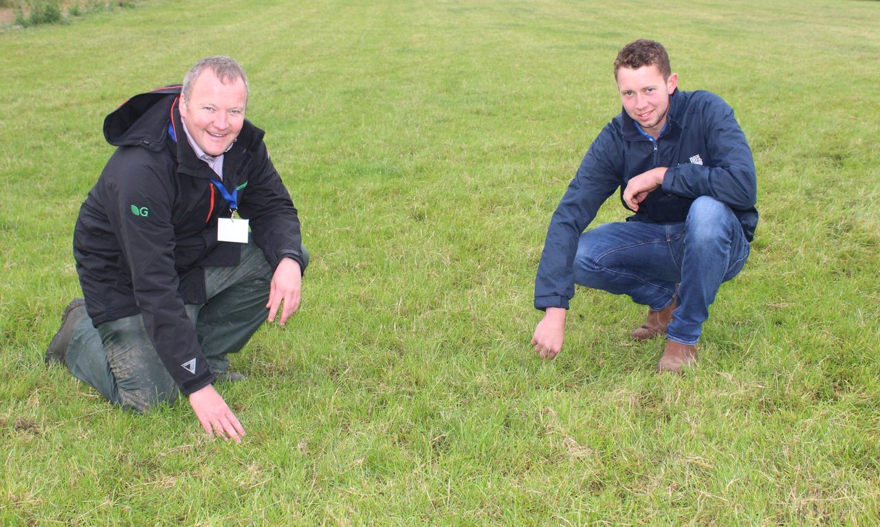 Sales of clover seed rocket as farmers aim to reduce fertiliser bills
