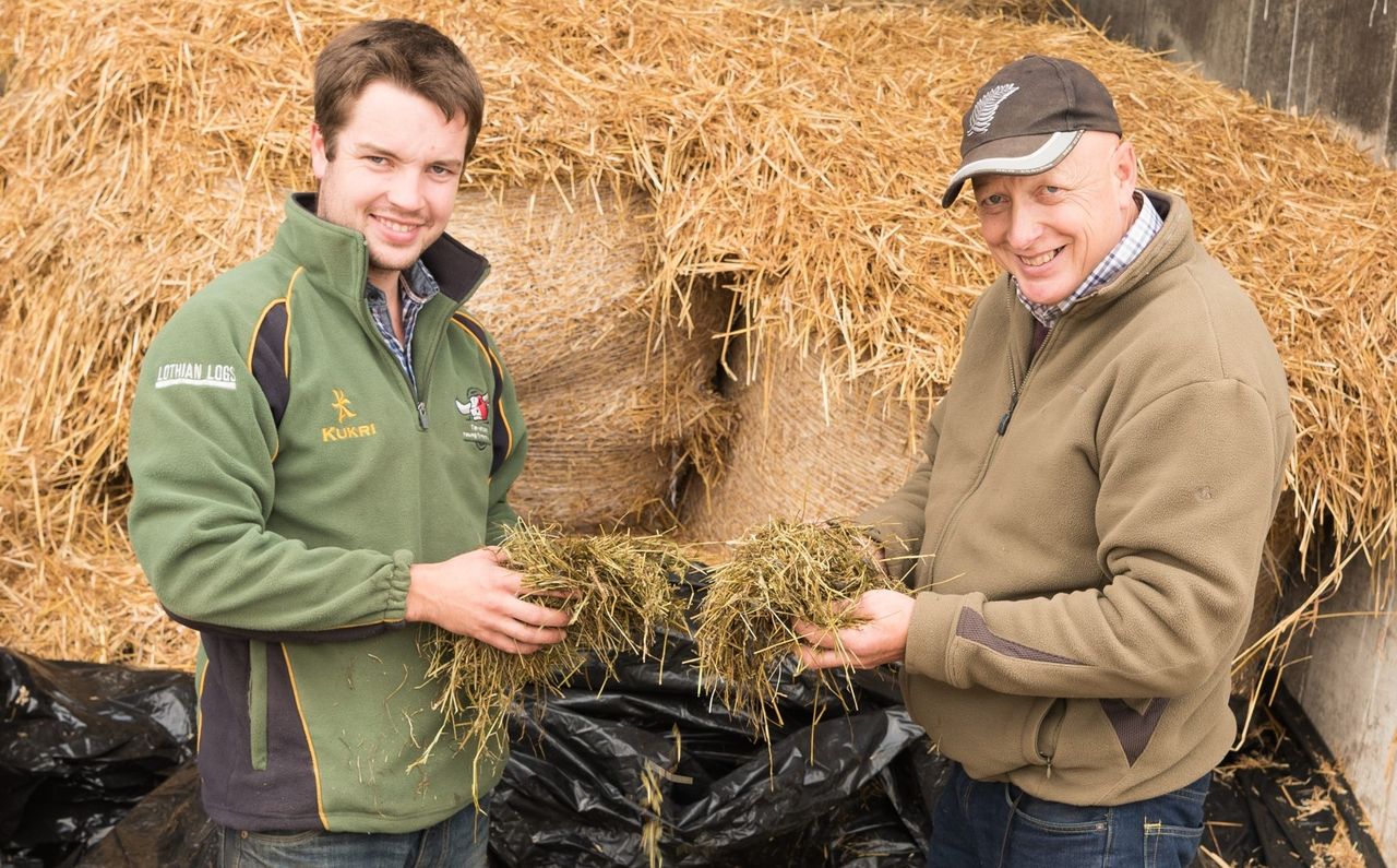 Quality over quantity: Monitor Farm to discuss strategies to improve silage
