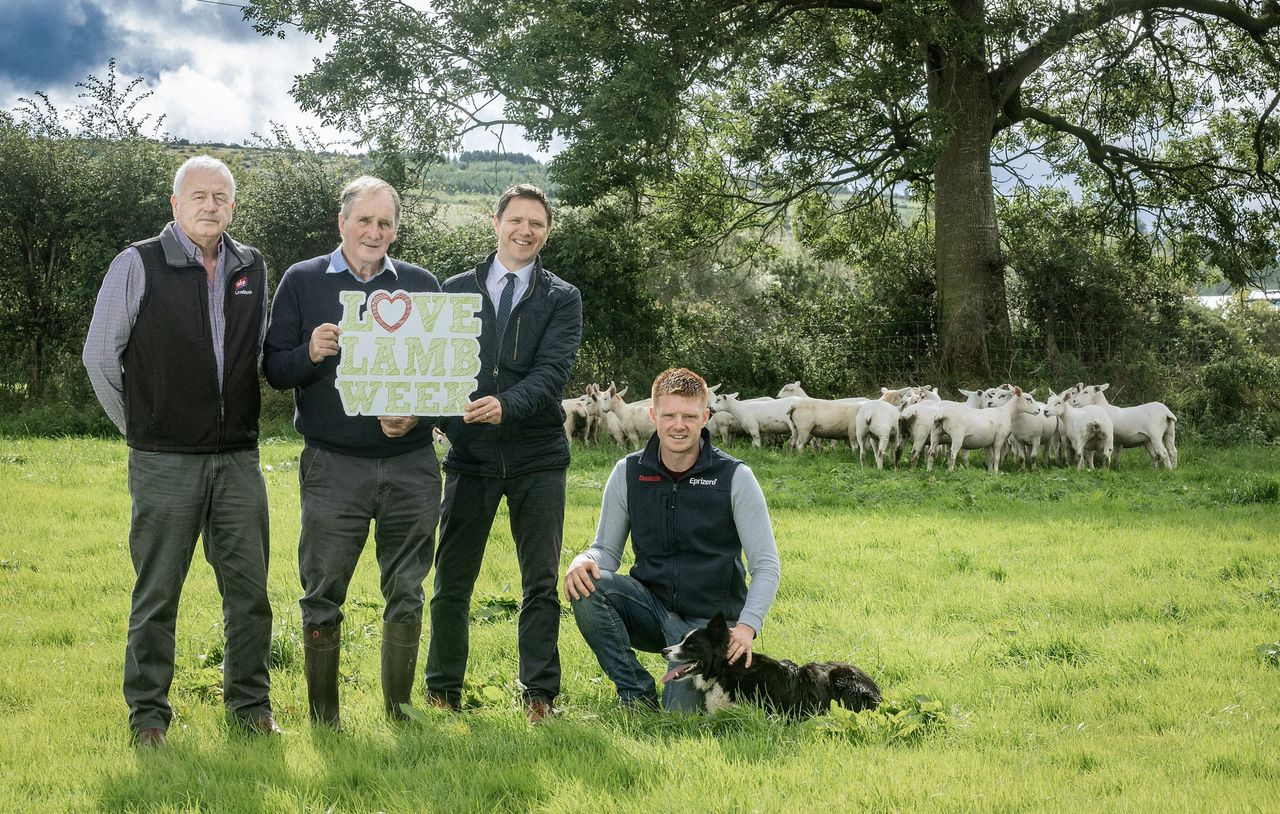 Lack of farming awareness can ‘impact a buyer’s choices’- UFU