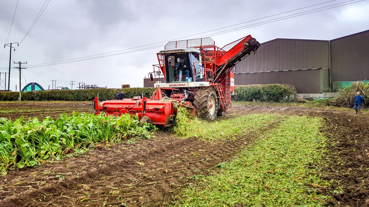 For sale: Ireland's most famous self-propelled beet harvester