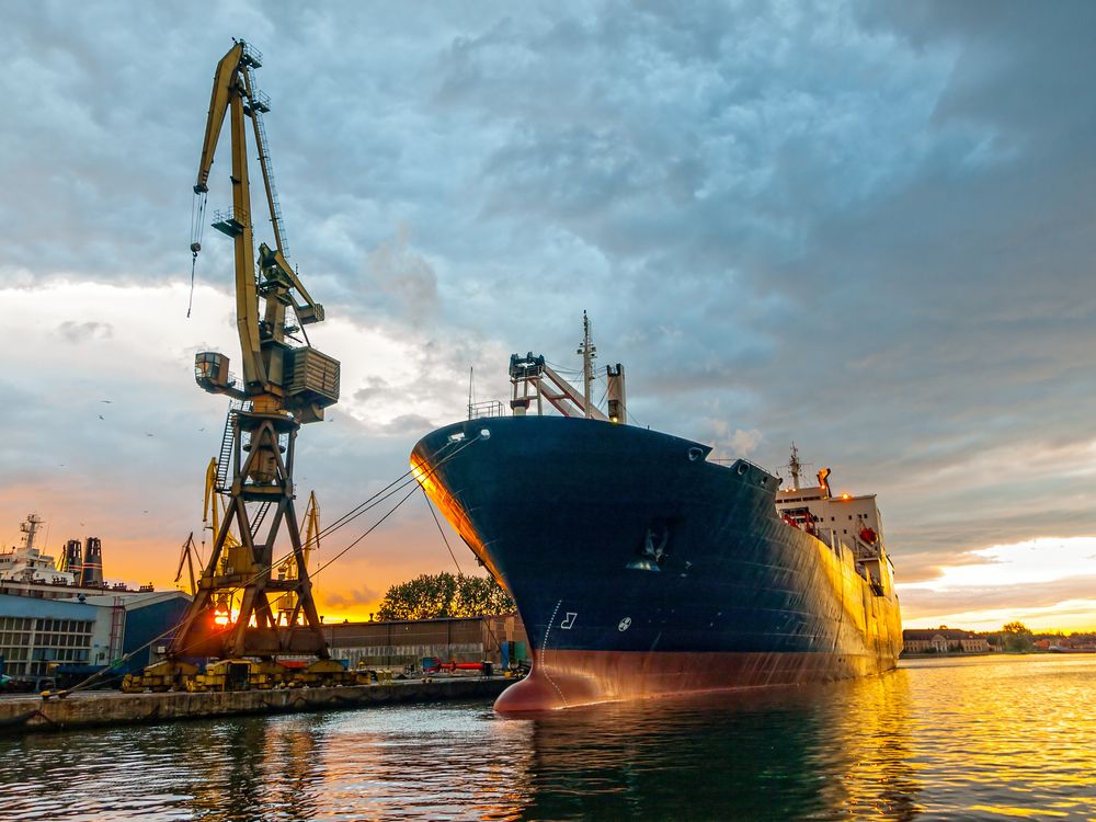 Ships denied go-ahead to carry live cattle exports