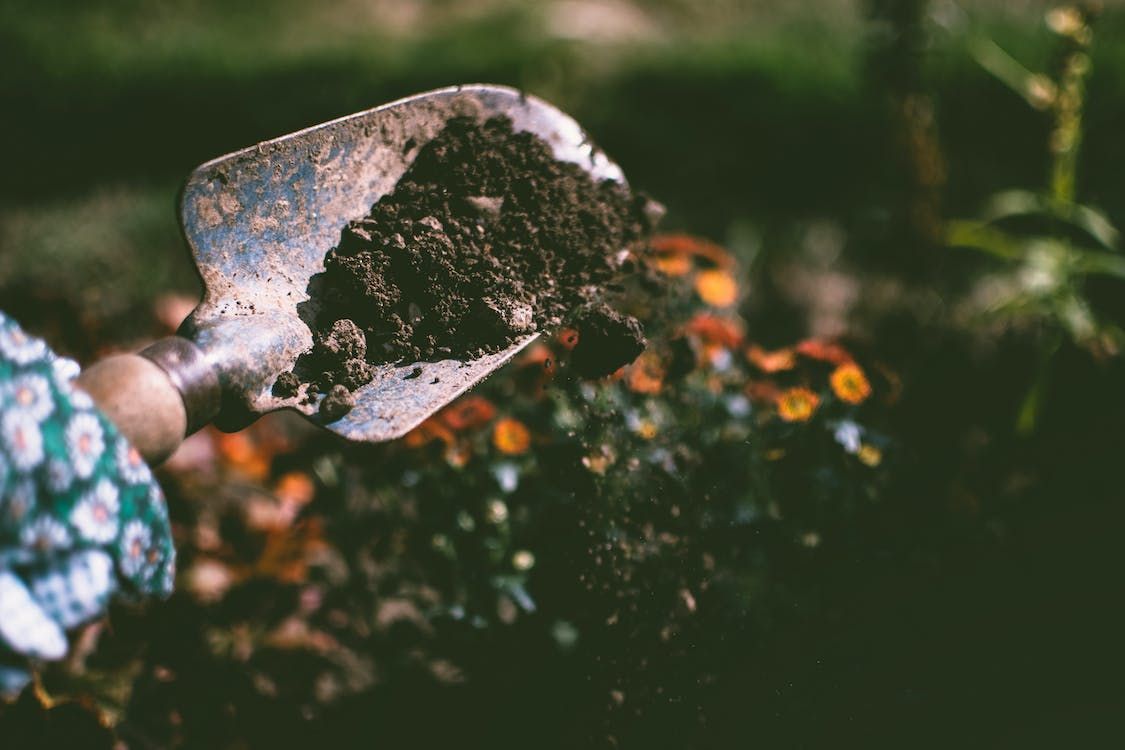 Donations to grower soar following allotment vandalism