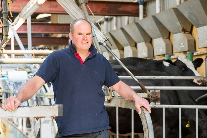 Flintshire farm announced as first Welsh strategic dairy farm