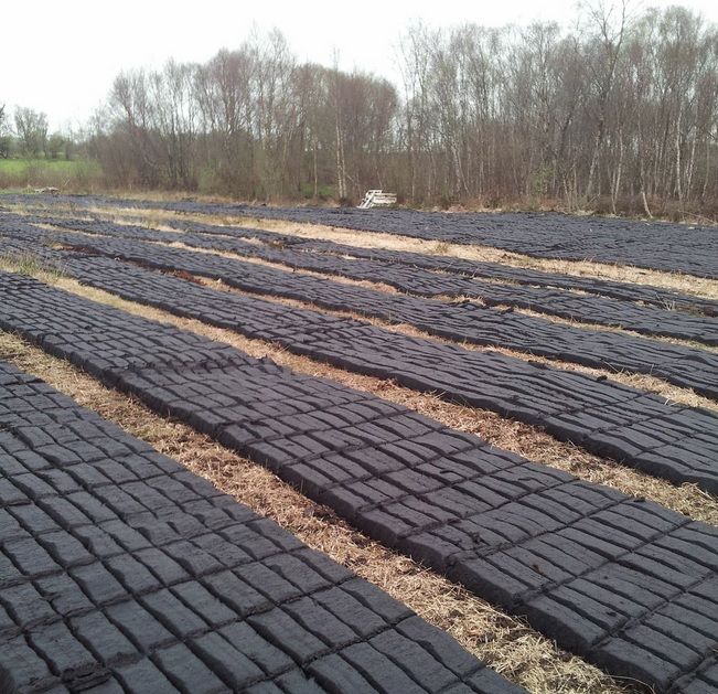 Some 685ha of raised bogs to be restored across seven counties