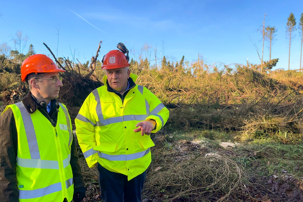 Minister Muir visits Tyrone forest devastated by storms