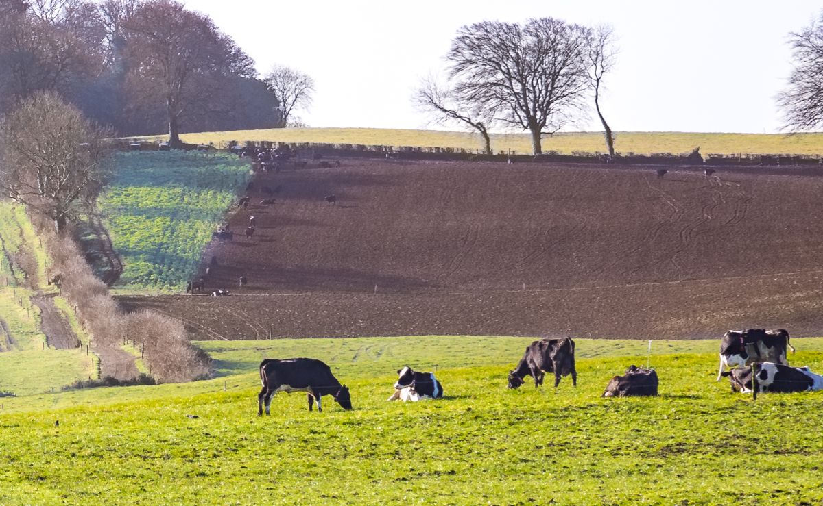 Over 75,000ac of Scottish land under new sustainable management scheme