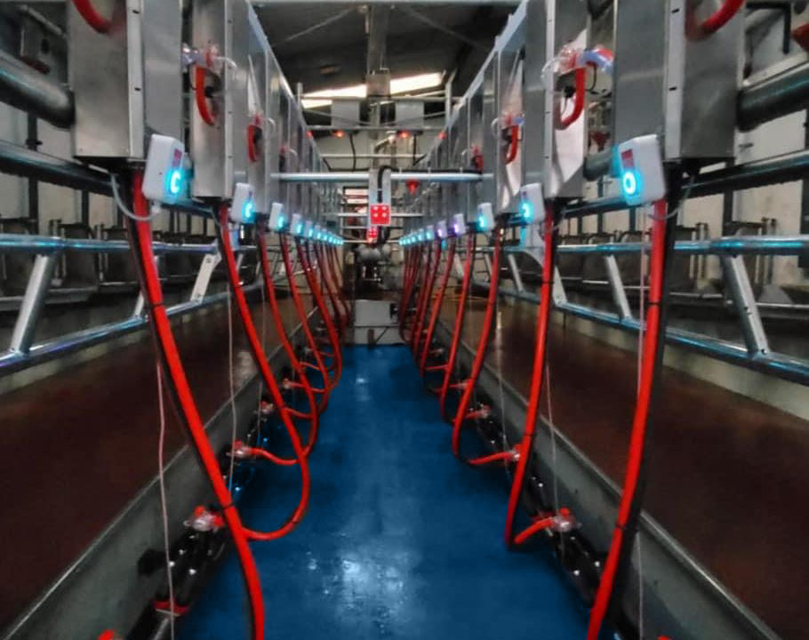 Being efficient and hygienic in the parlour during mid-season